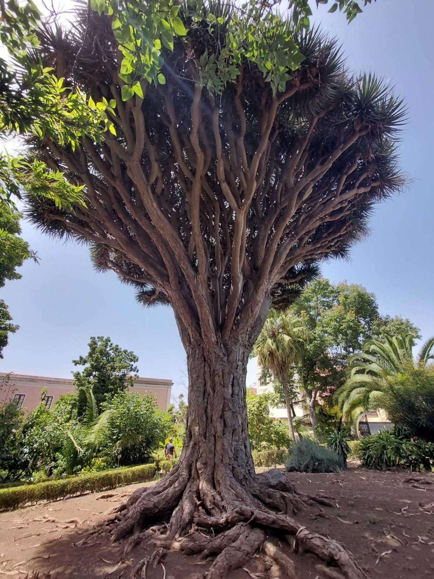 Appartamento Con 1 Camera Da Letto Con Vista Ov223 Costa Adeje  Exterior foto